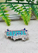 Load image into Gallery viewer, Team Pin Badges