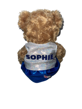 Load image into Gallery viewer, Capital Allstars Teddy Bear